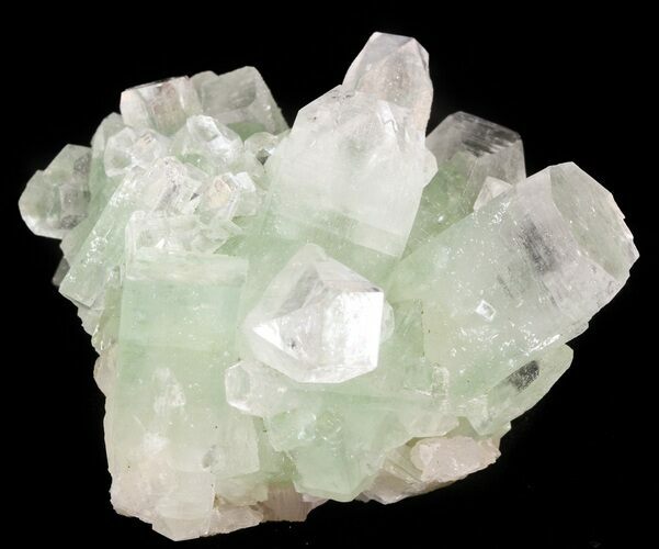 Zoned Apophyllite Crystal Cluster - India #44338